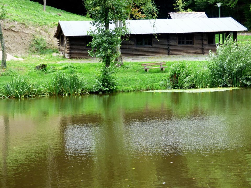 Area and facilities