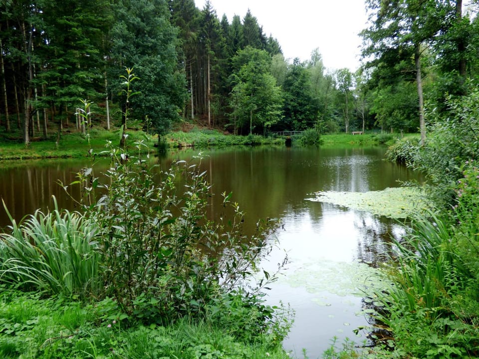 Natural landscape