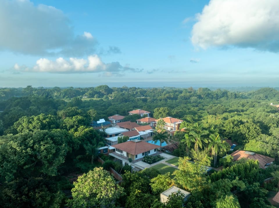 Property building, Bird's eye view