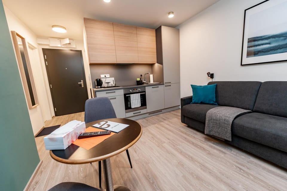 Kitchen or kitchenette, Living room, Seating area, oven, stove