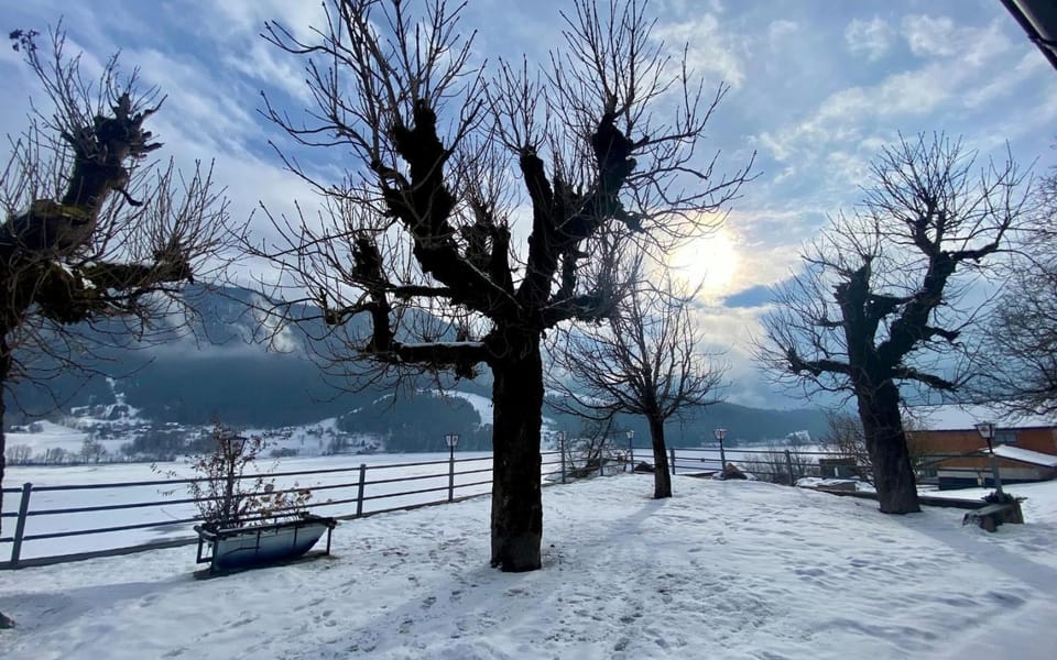 Natural landscape, Winter