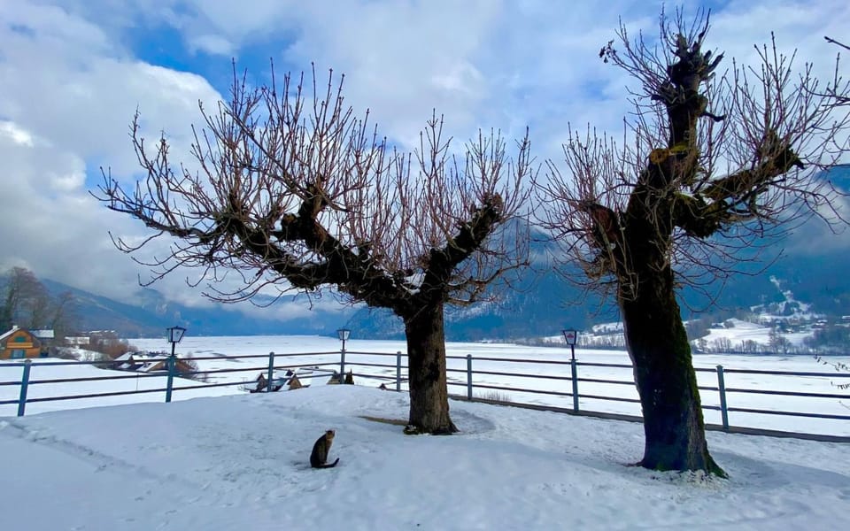 Nearby landmark, Winter