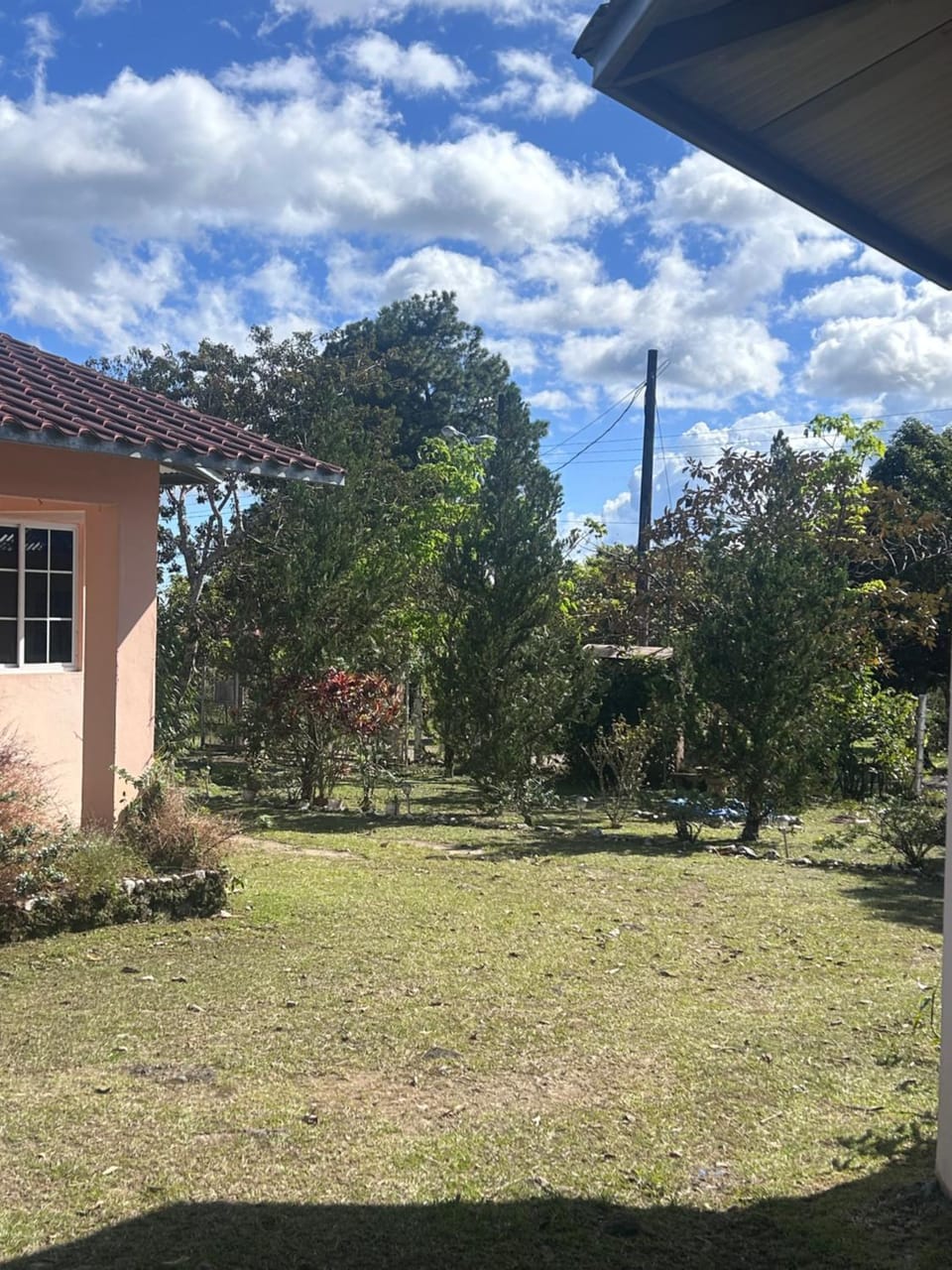 Property building, Day, Garden view
