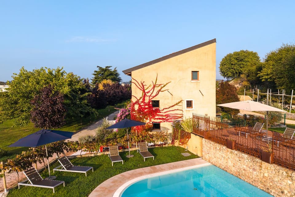 Property building, Garden, Swimming pool, sunbed