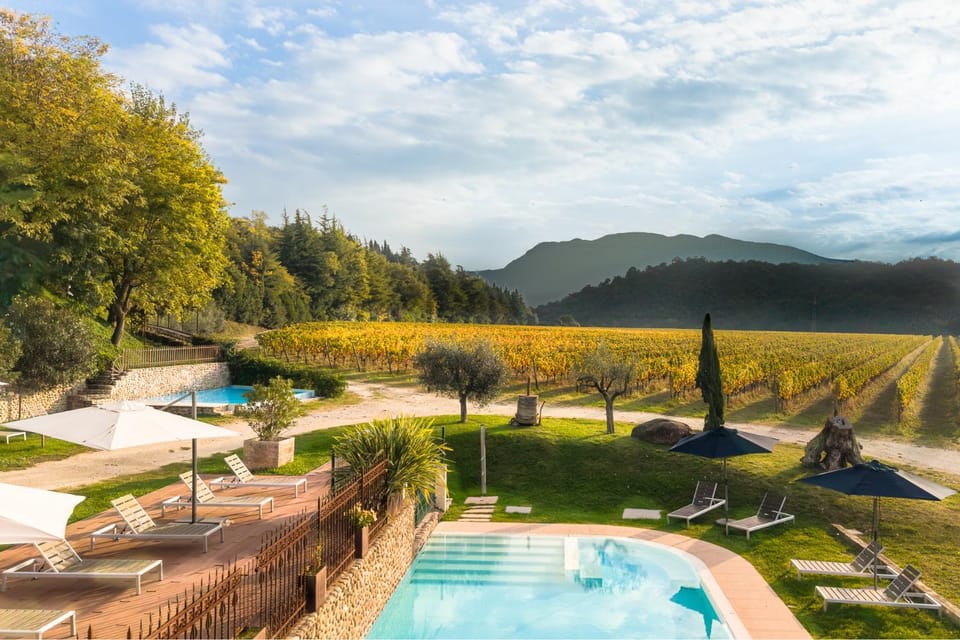 Garden view, Pool view, Swimming pool, sunbed