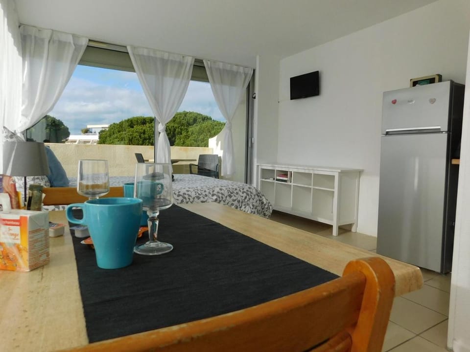 studio 38 climatisé balcon vue mer Apartment in Le Grau-du-Roi