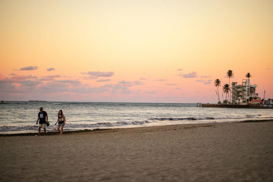 Natural landscape, Beach, Sunset