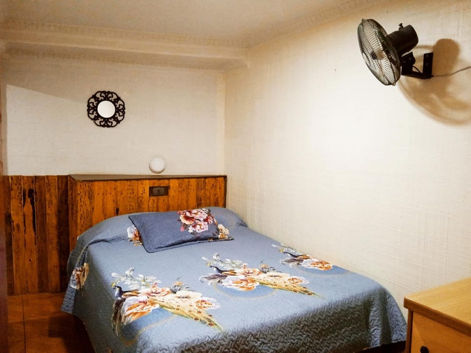 Bed, Photo of the whole room, Bedroom, fireplace