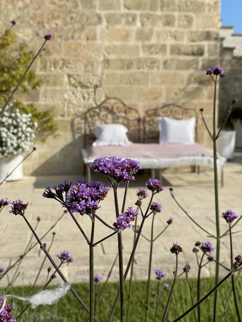 Patio, Spring, Day, Garden
