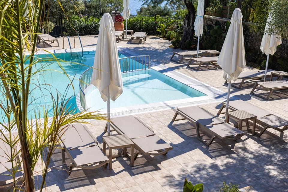 Patio, Day, Garden, Garden view, Pool view, Swimming pool, sunbed