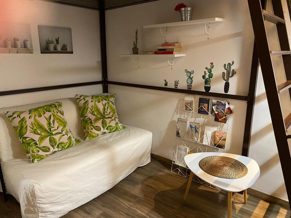 Cactus 31 Apartment in Syracuse