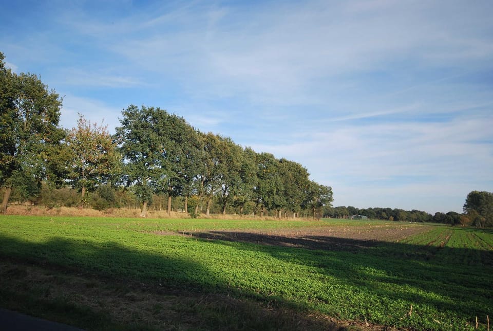 Natural landscape
