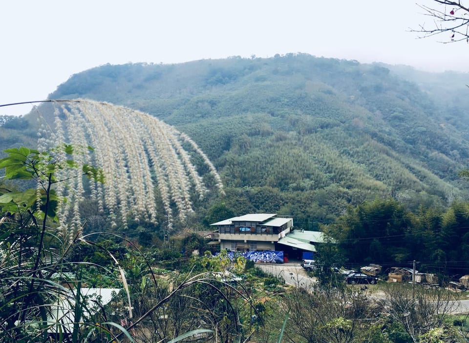 Neighbourhood, Natural landscape, Bird's eye view, Mountain view
