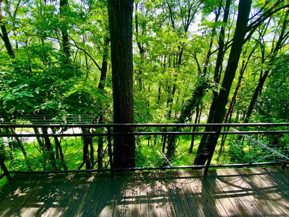 Balcony/Terrace, Garden view