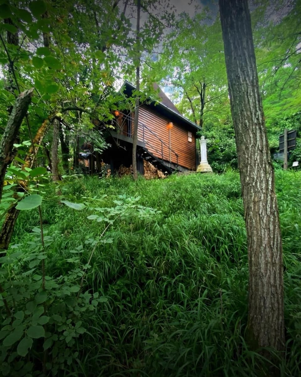Property building, Spring, Day, Natural landscape, Garden, Garden view