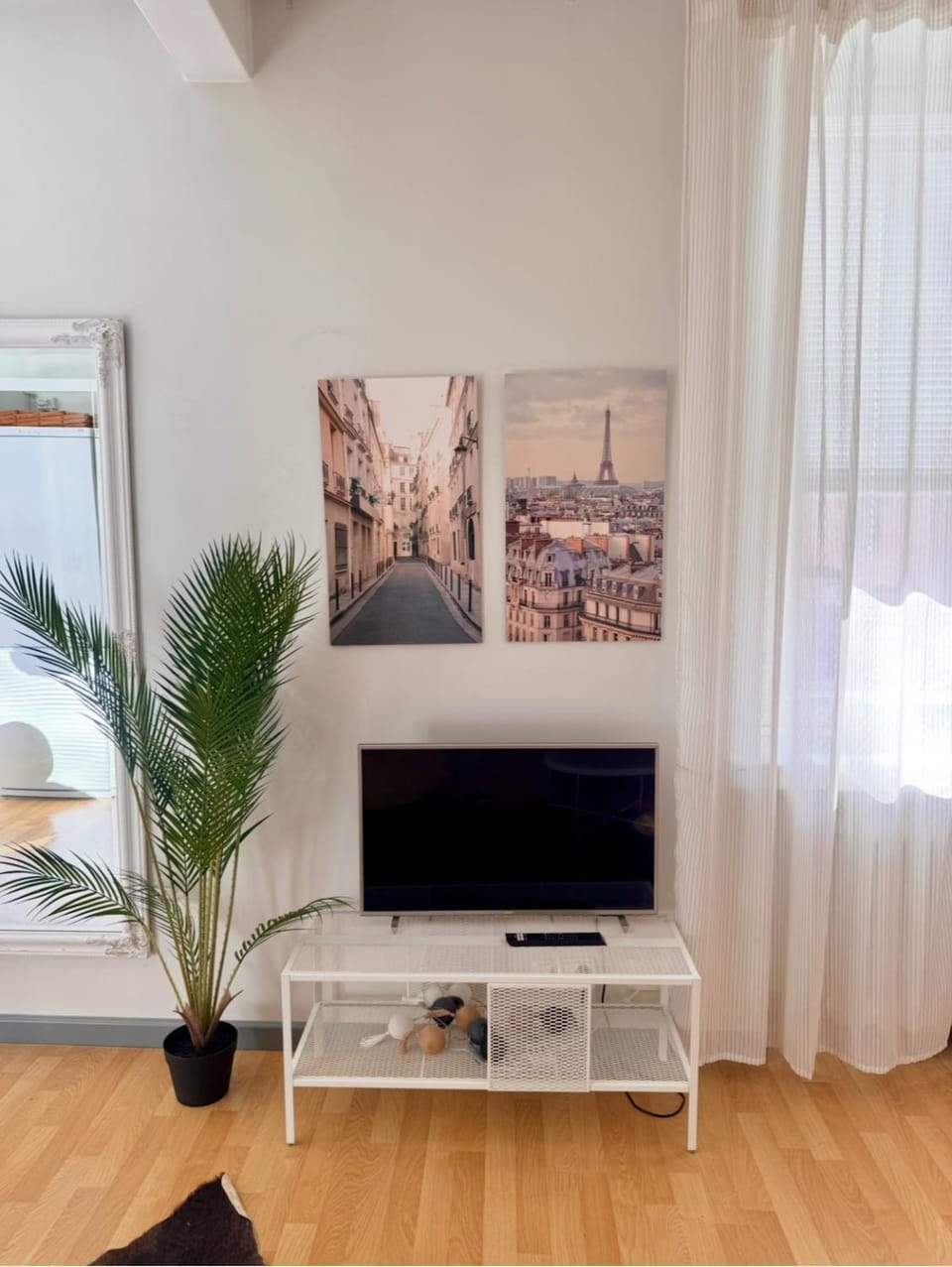 TV and multimedia