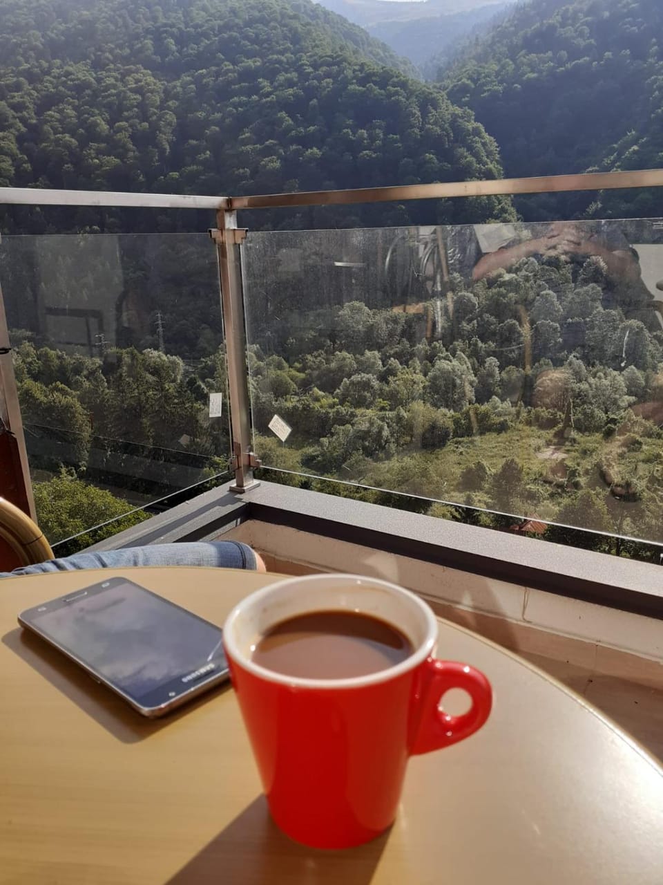 Green FOREST Resort Colina Marei Apartment in Sinaia