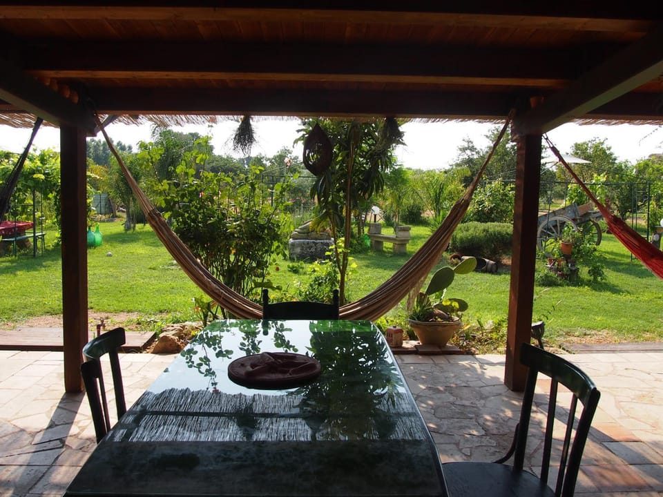 Patio, Garden view