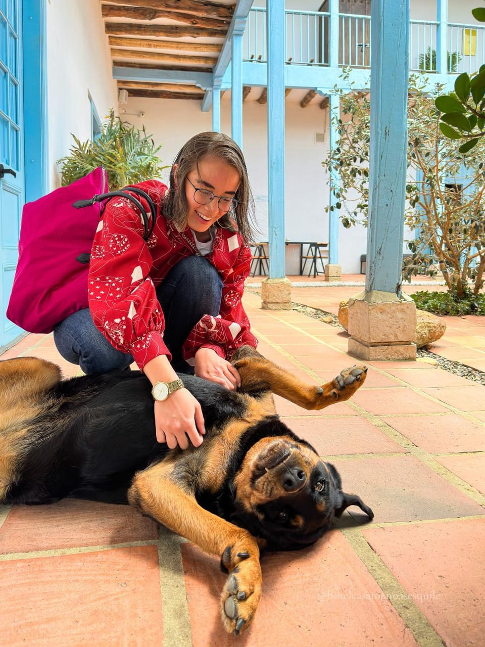 Patio, Day, Pets