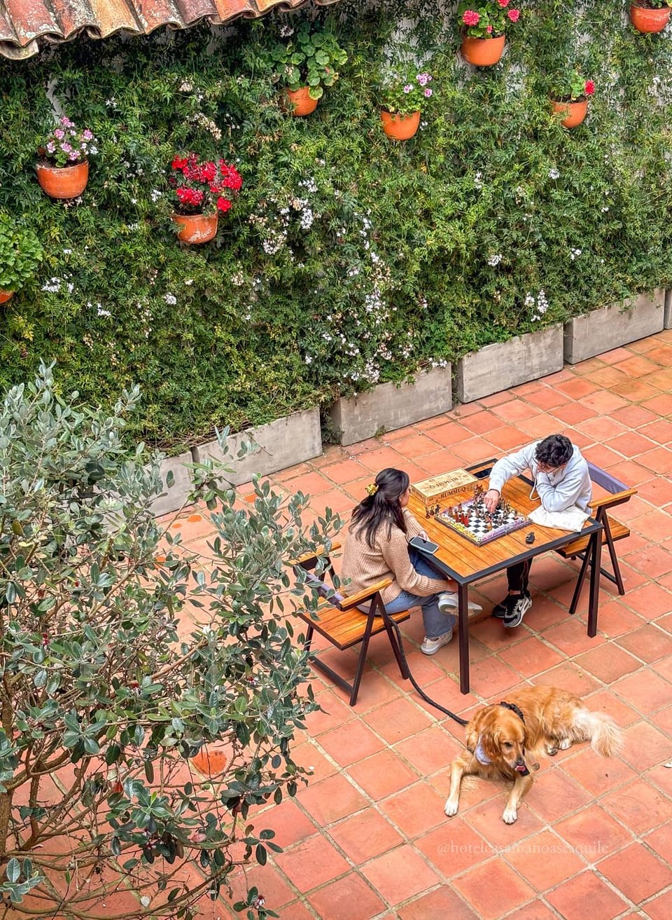 Game Room, Pets, Garden view