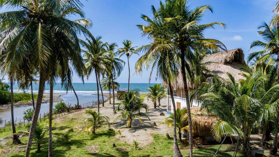 Natural landscape, Garden, Sea view