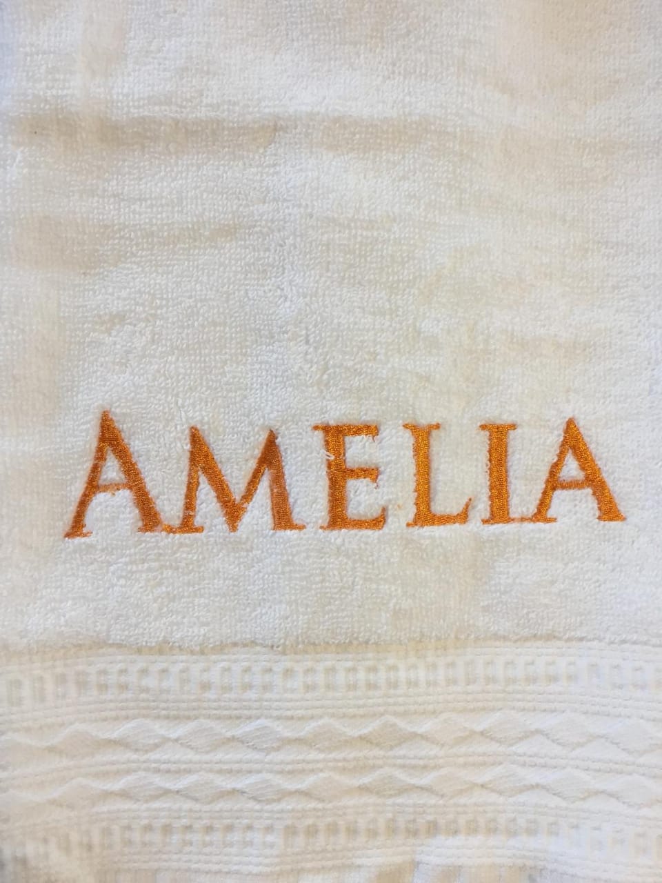 Amelia Villarrica Bed and Breakfast in Villarrica