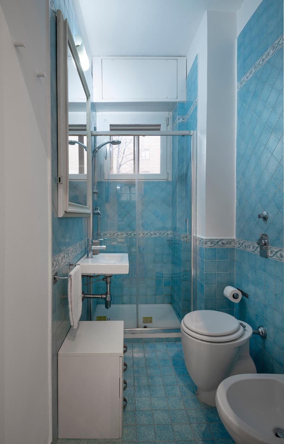Shower, Toilet, Bathroom, bidet