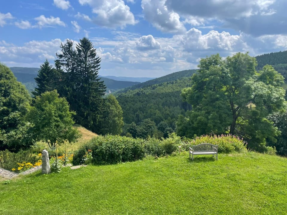Garden view