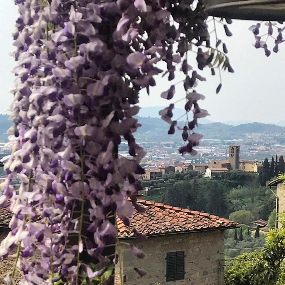 Garden view
