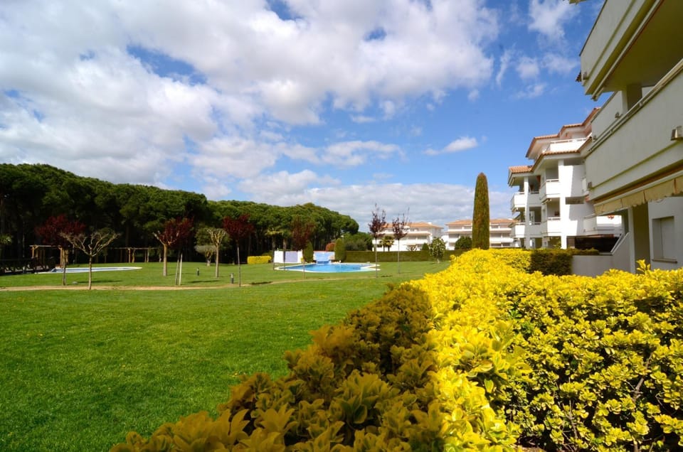 Patio, Garden, Garden view