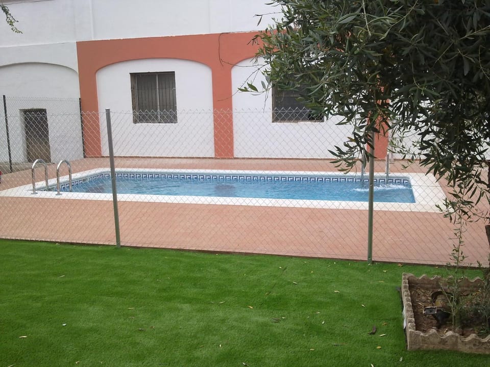 Swimming pool, Swimming pool
