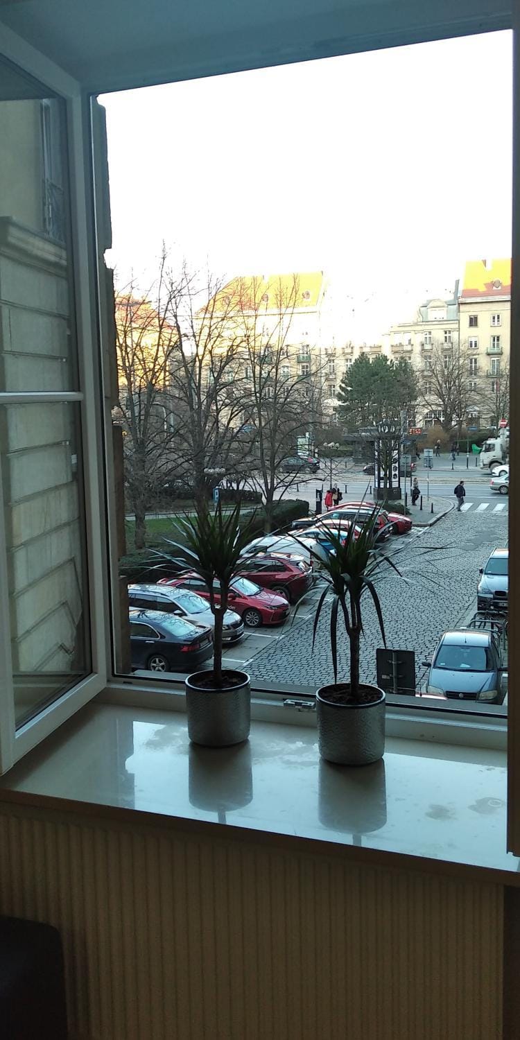 City view, Street view