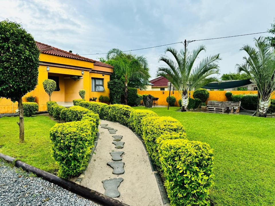 Property building, Garden view