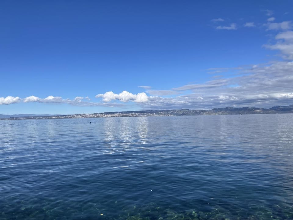 Appartement cozy au centre d'Évian, jusqu'à 4 personnes - FR-1-498-58 Apartment in Évian-les-Bains