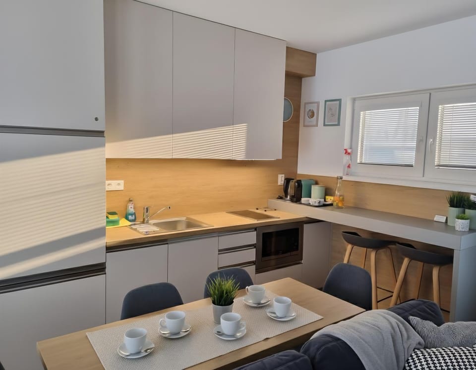 Apartmán Nad Arénou NMNM Apartment in South Moravian Region