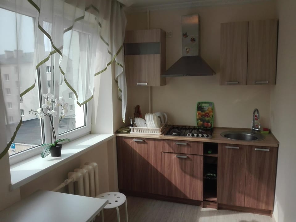 Двухкомнатная квартира Smart-Home Apartment in Lithuania