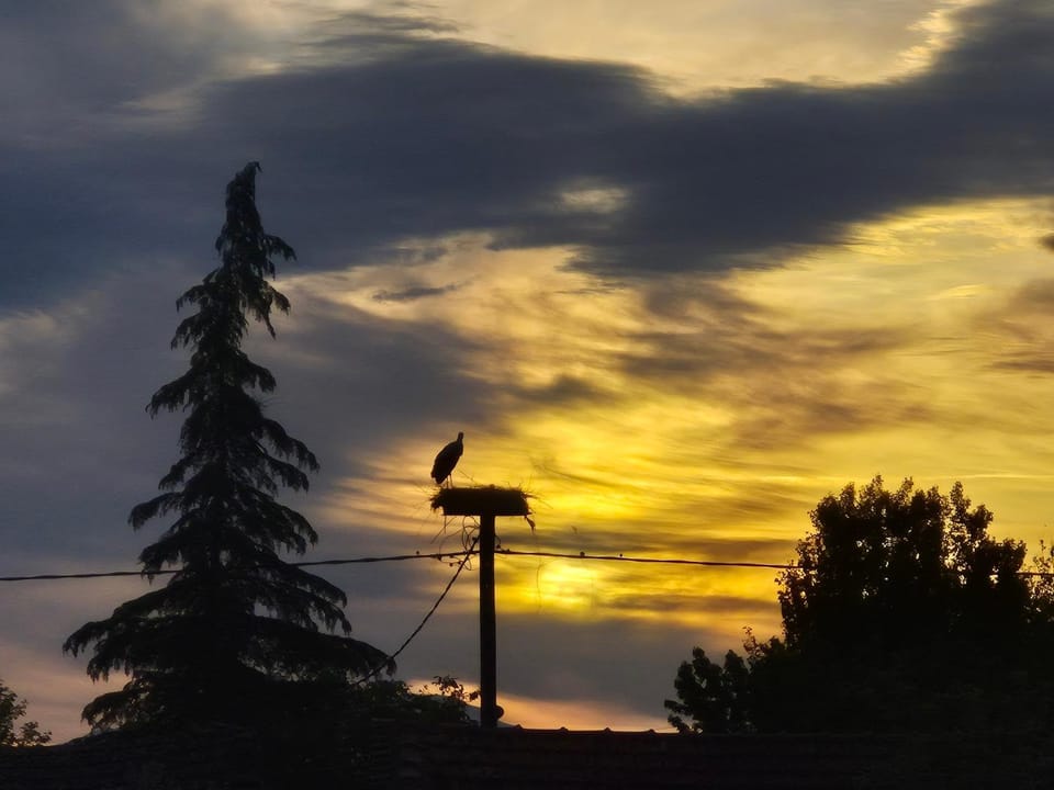 Natural landscape, Sunrise