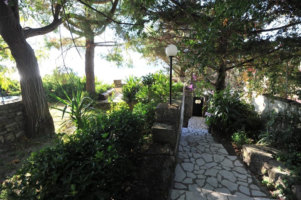 Patio, Natural landscape, Garden