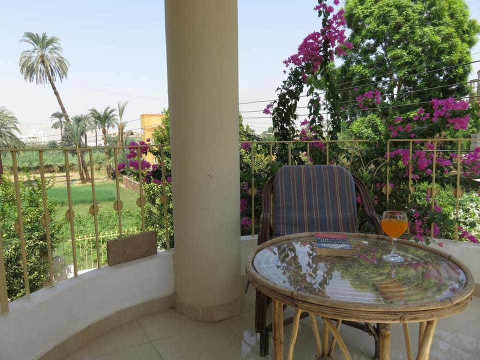 Hermina Guest House Apartment in Luxor