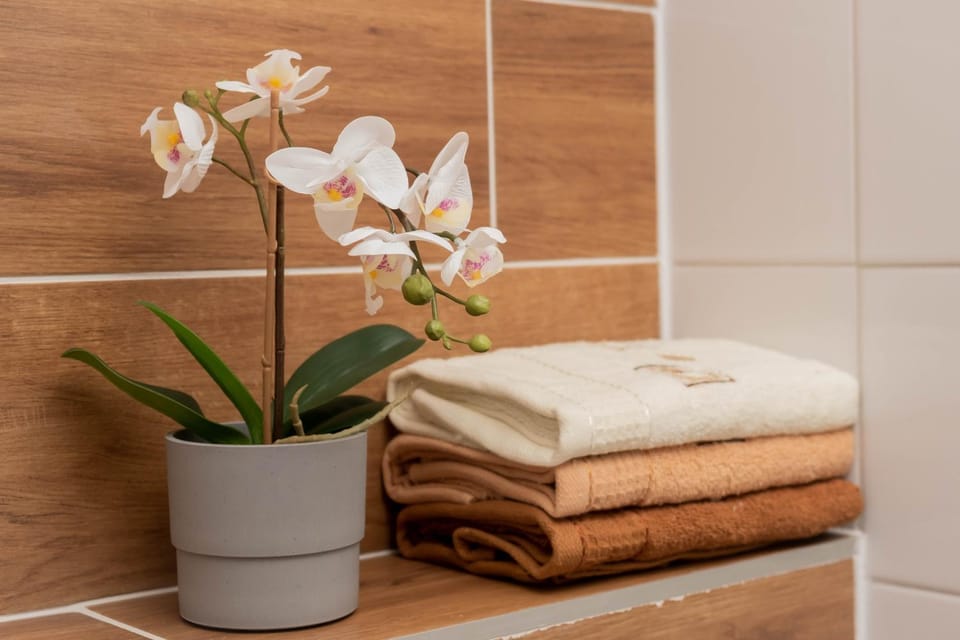 Apartamenty GoszóWita Apartment in Lower Silesian Voivodeship
