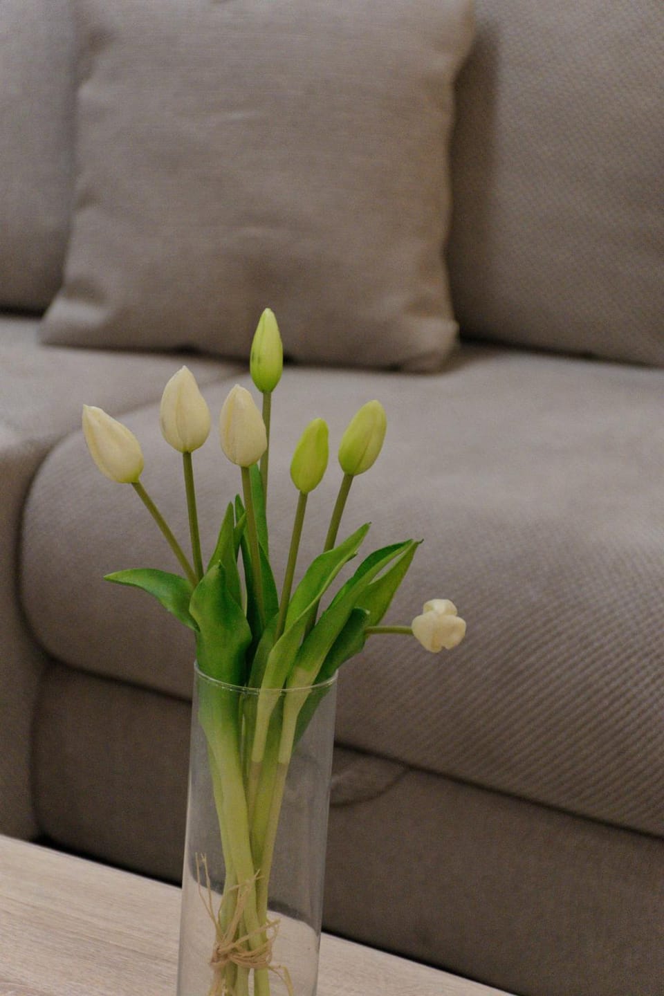 Apartment Anna - FREE Pickup from OR Dropoff to Zagreb airport AT ANY TIME, please give three days advance notice - Long-term parking with airport transport possibility Apartment in Slovenia