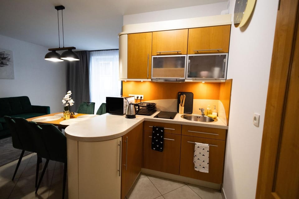 Apartament ZOYA + garaż Apartment in Lesser Poland Voivodeship