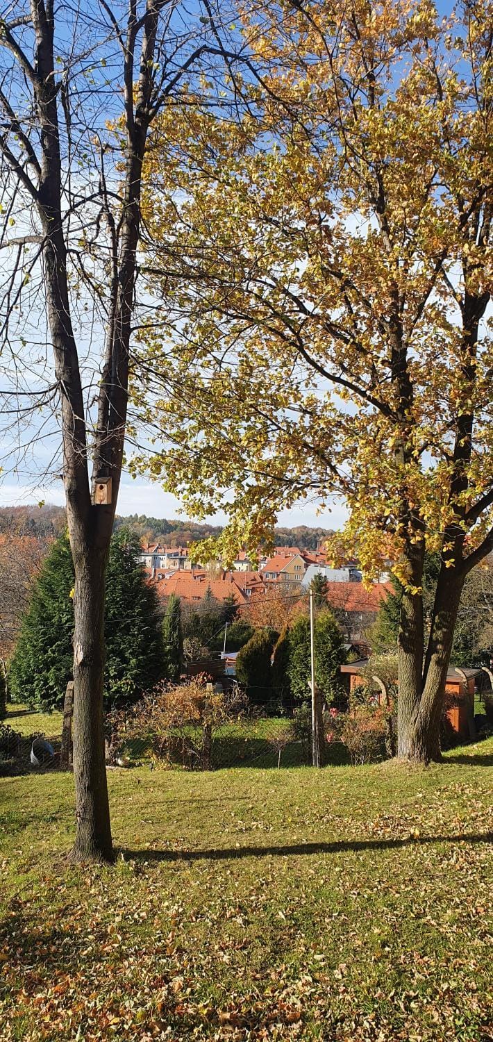 A&S Apartaments - RELAX Apartment in Lower Silesian Voivodeship