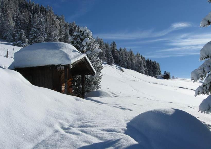 Haus Sonja Vacation rental in Tyrol