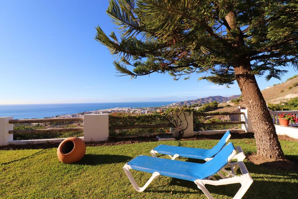 Patio, Garden, Garden view