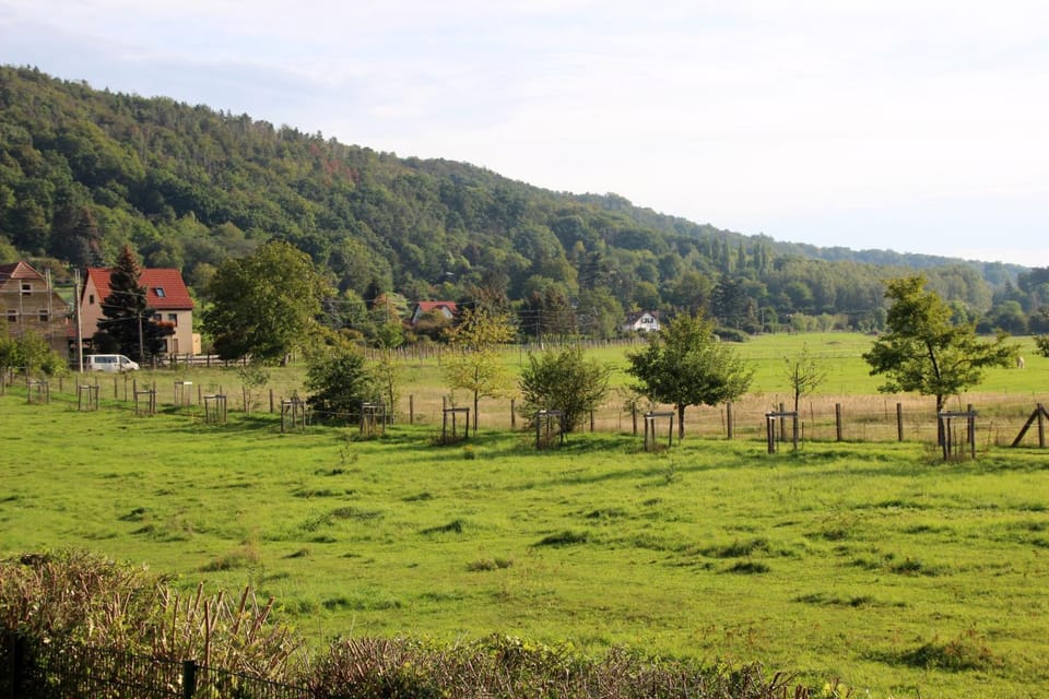 View (from property/room), View (from property/room)