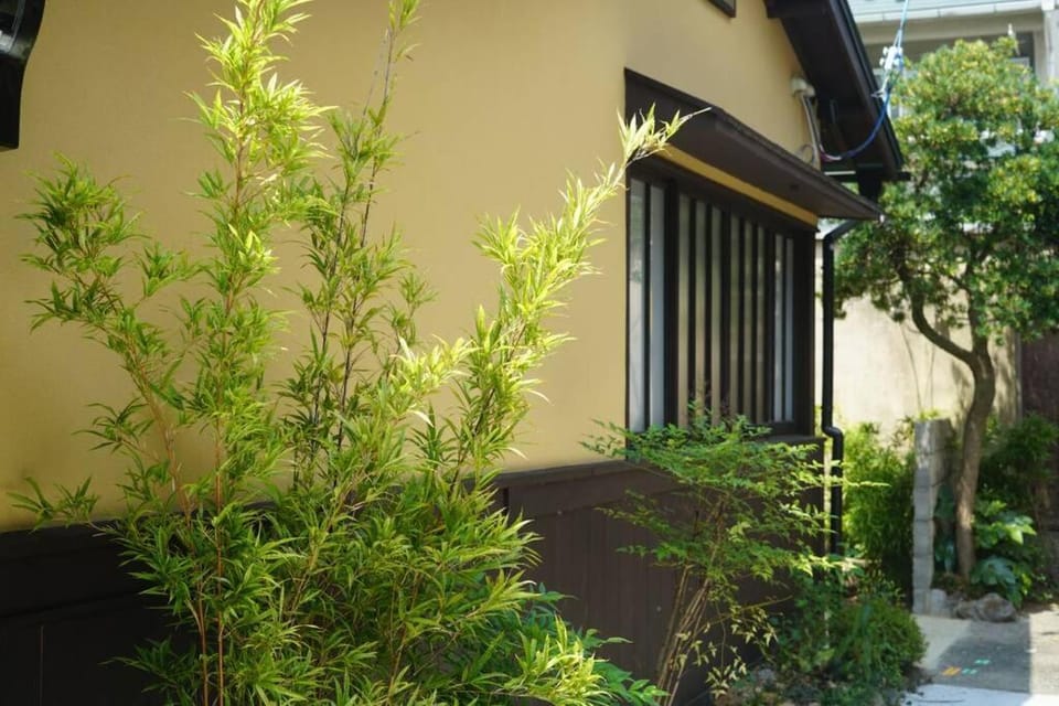Facade/entrance, Garden