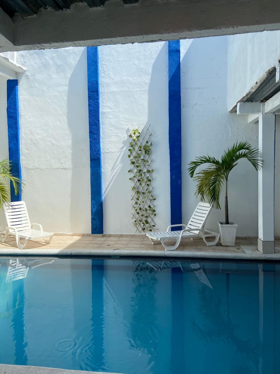 Pool view, Swimming pool