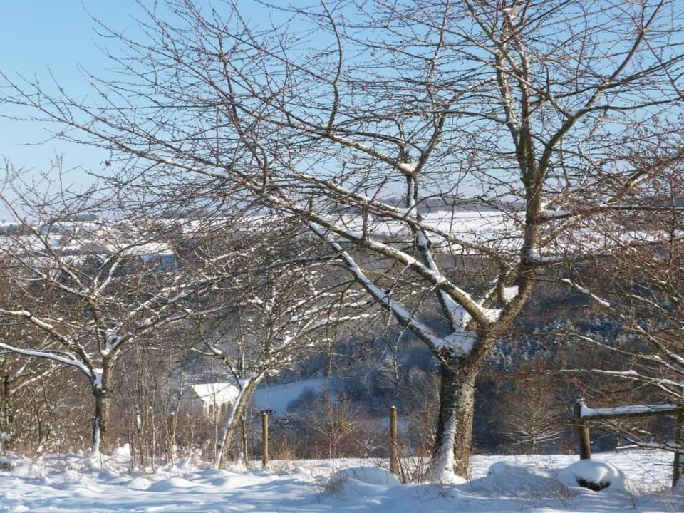Neighbourhood