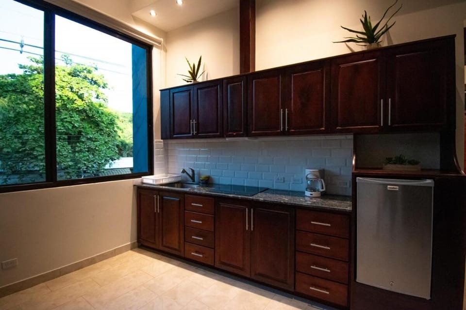 Kitchen or kitchenette, minibar, stove